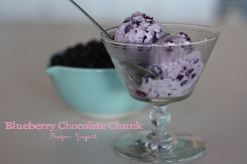 Blueberry Chocolate Chunk FroYo